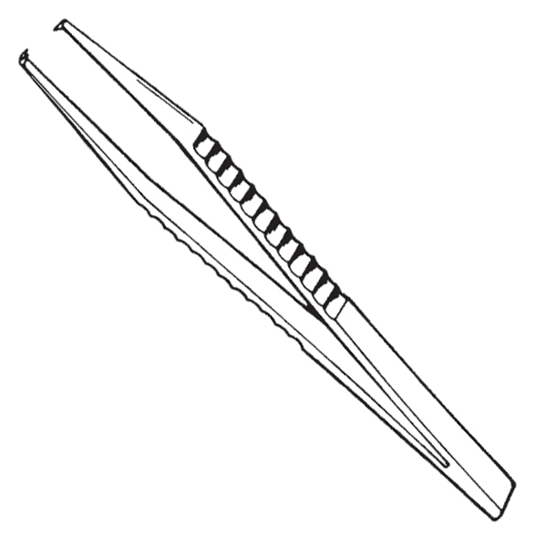 Text